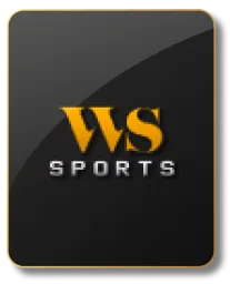 wssport-game-provider-icon