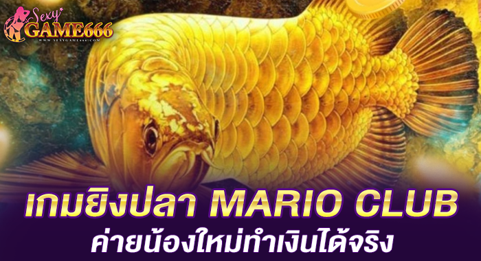 เกมยิงปลา MARIO CLUB ค่ายน้องใหม่ทำเงินได้จริง
